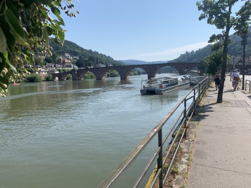 Neckar mit der Alten Brücke Der Neckar